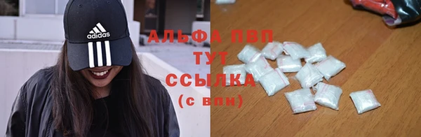 гашик Беломорск